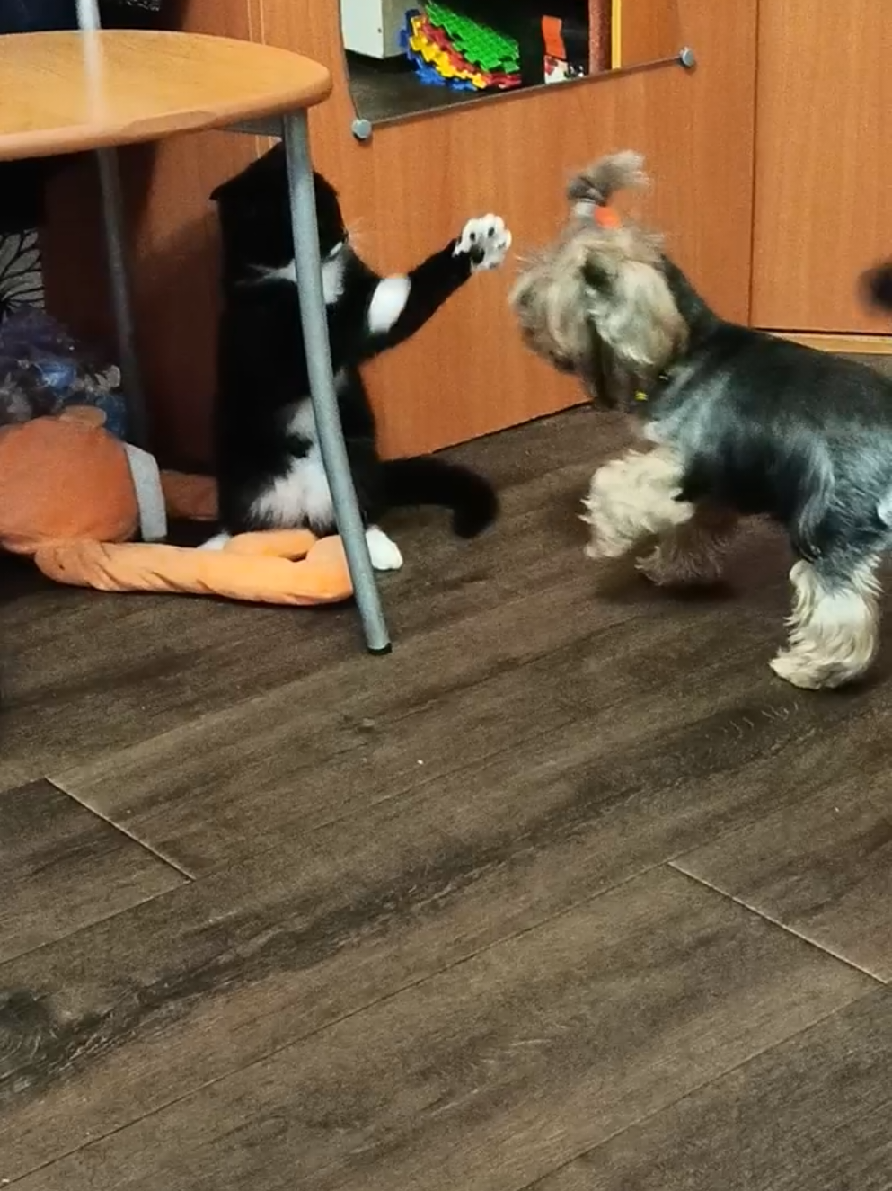 @Соня и Бетти ❤️