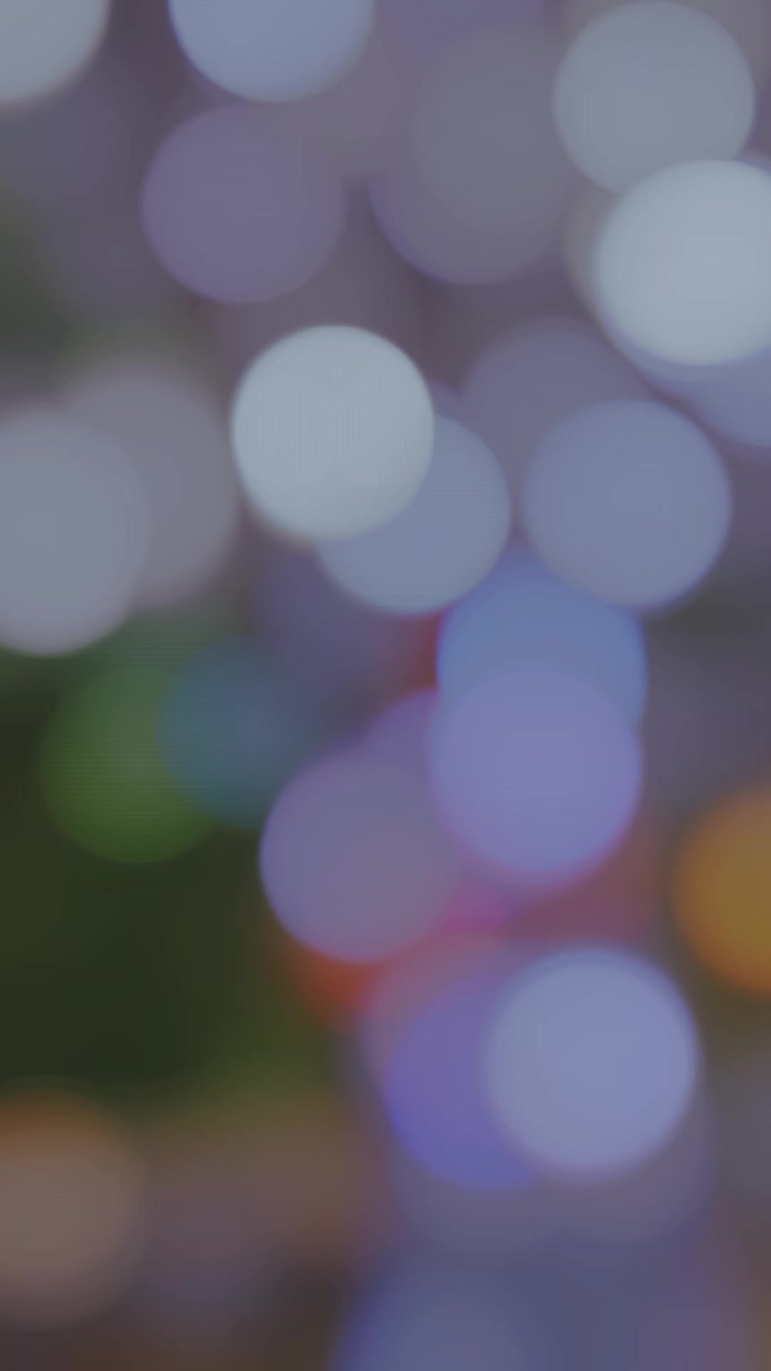 @𝗠𝗣 𝗦𝘂𝗯𝗲𝗱𝗶