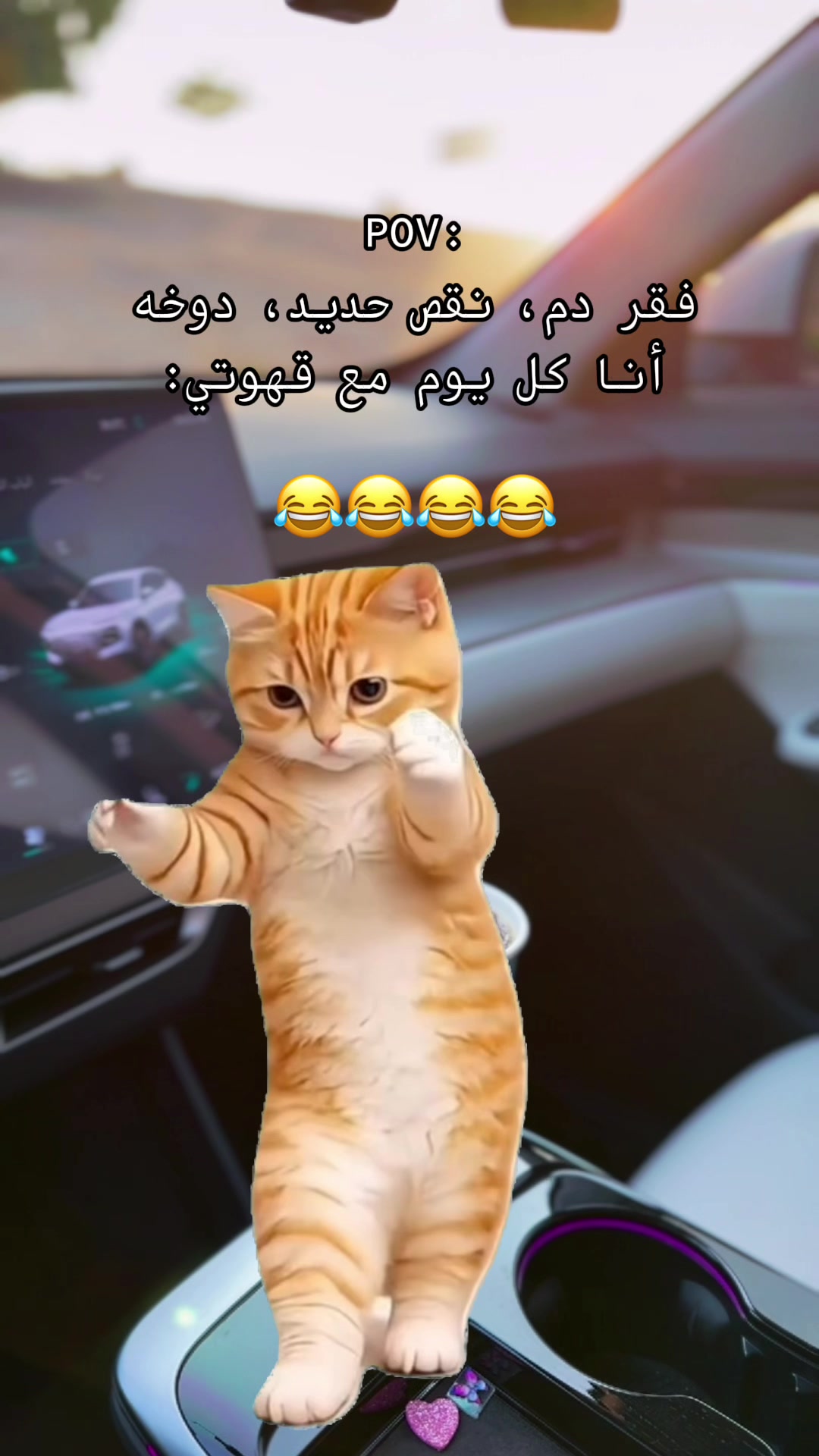 @ميشان دوت&bull;⭐️