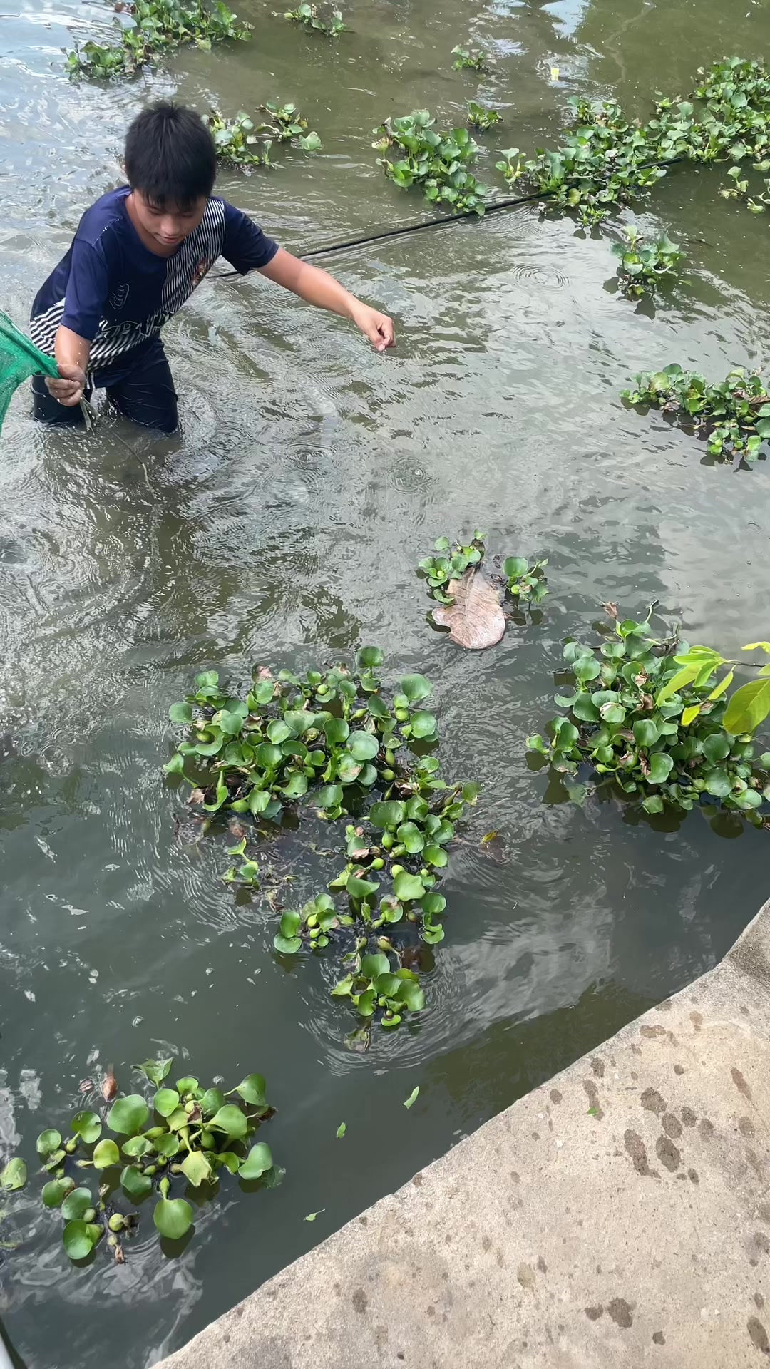 @Dương Dương