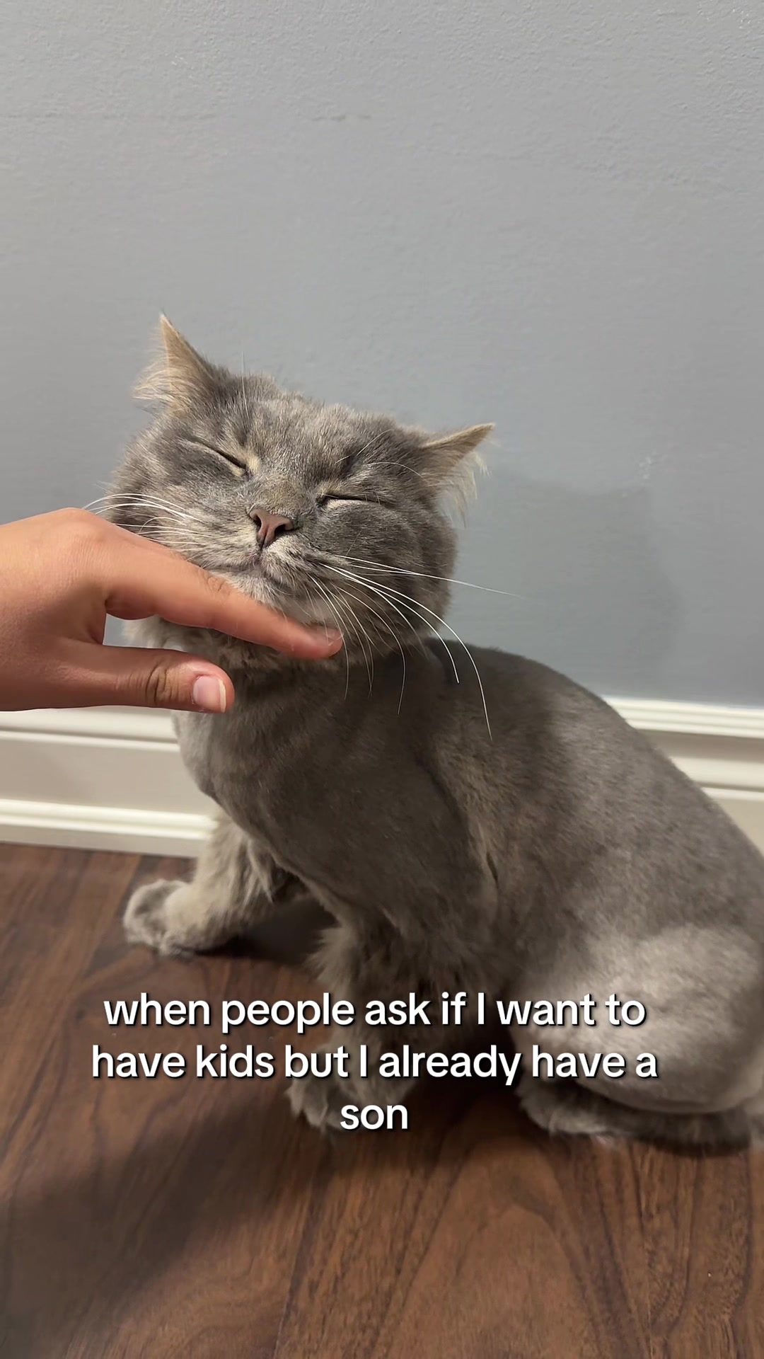 @Pookie