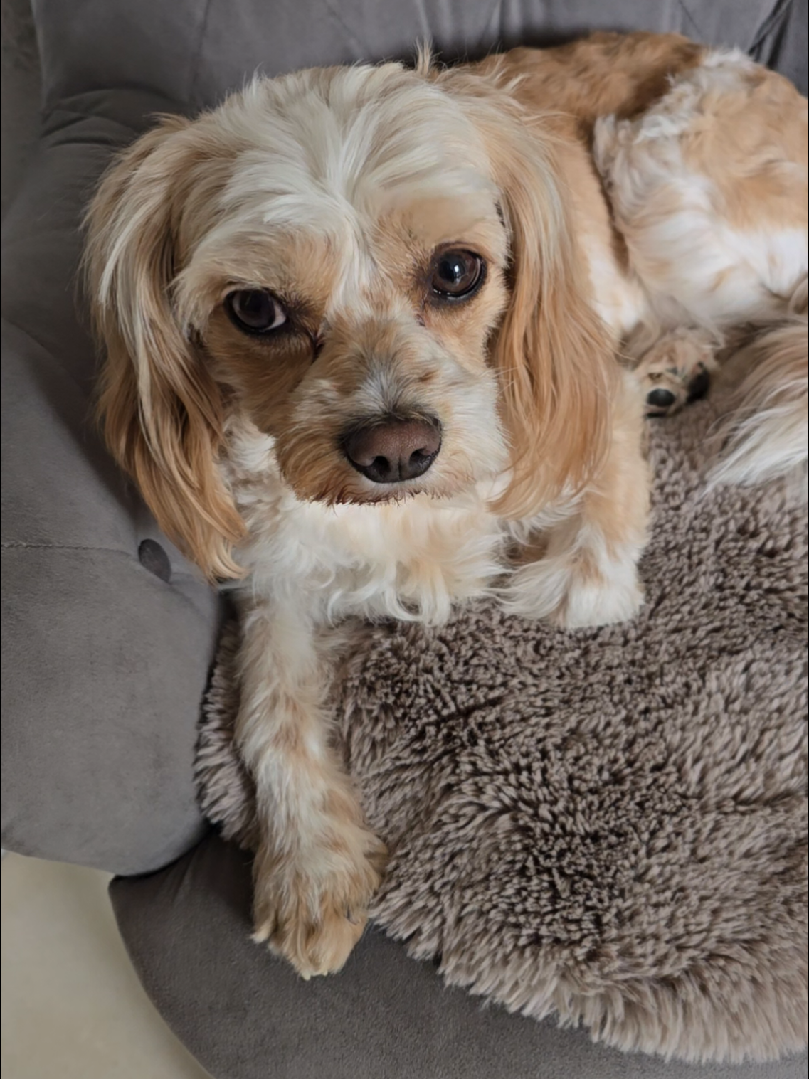 @Jazzy&Oscar's Hundeblog
