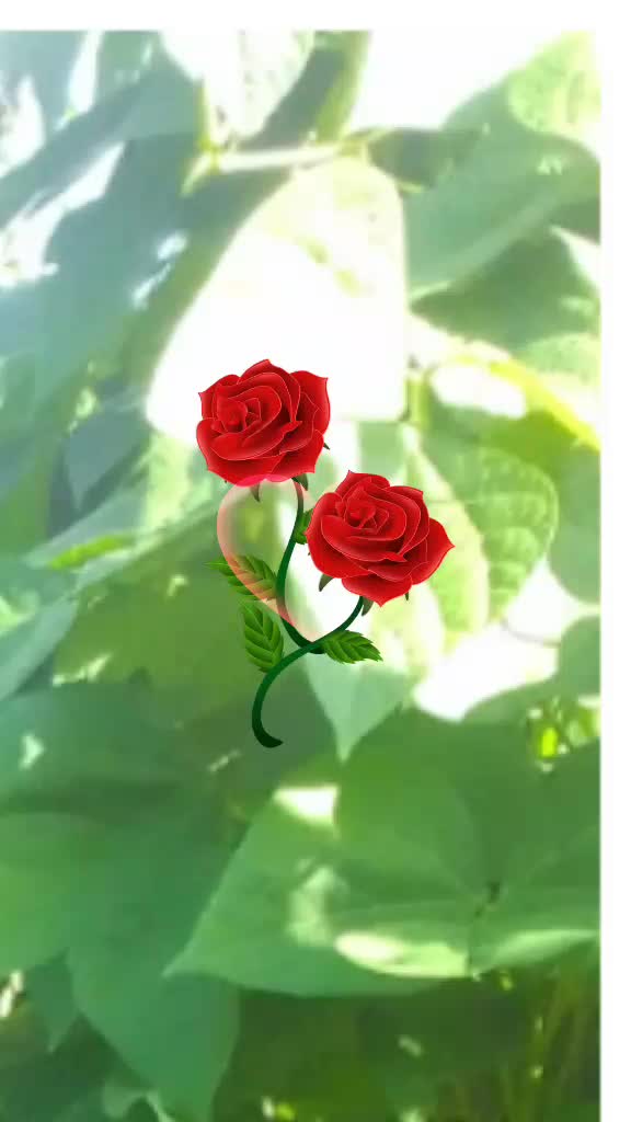 @Evelyn wa damour