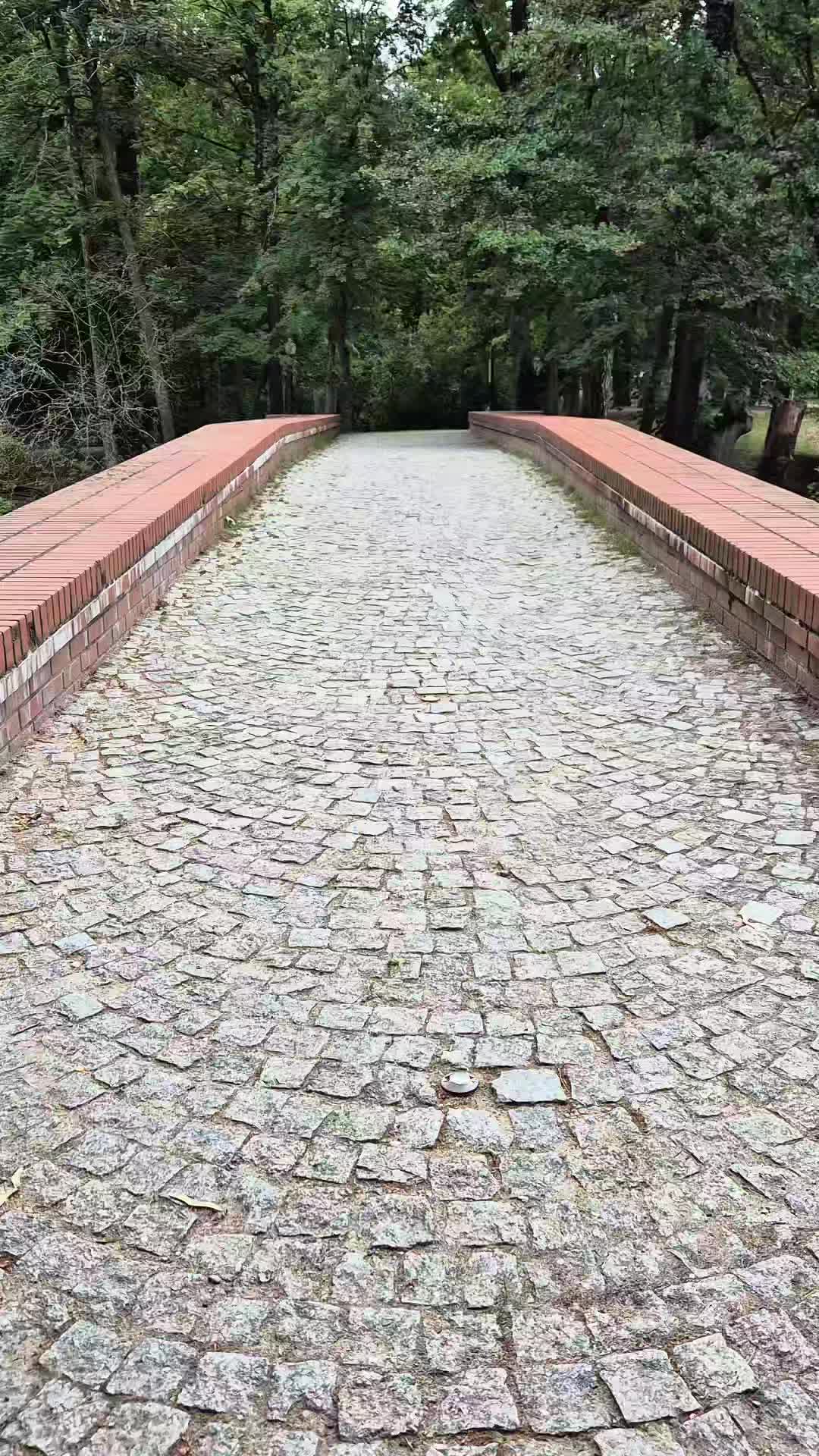 @Śladami Zebry