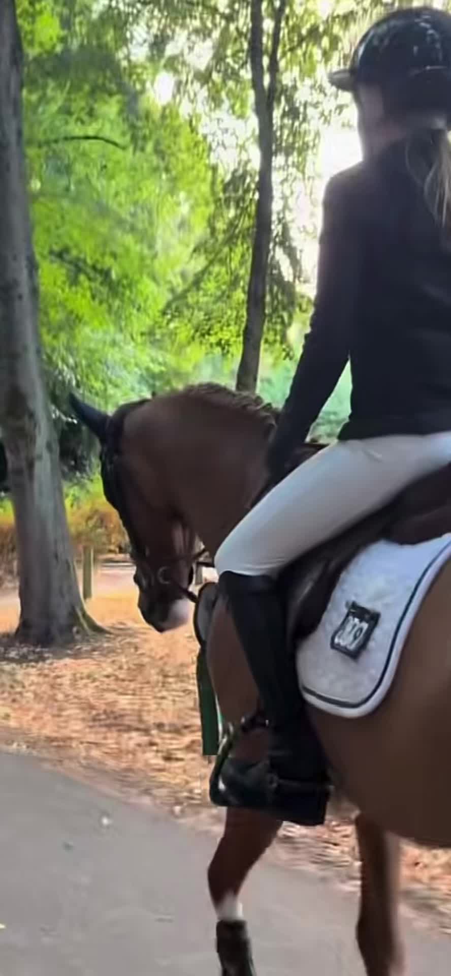 @horse_edits