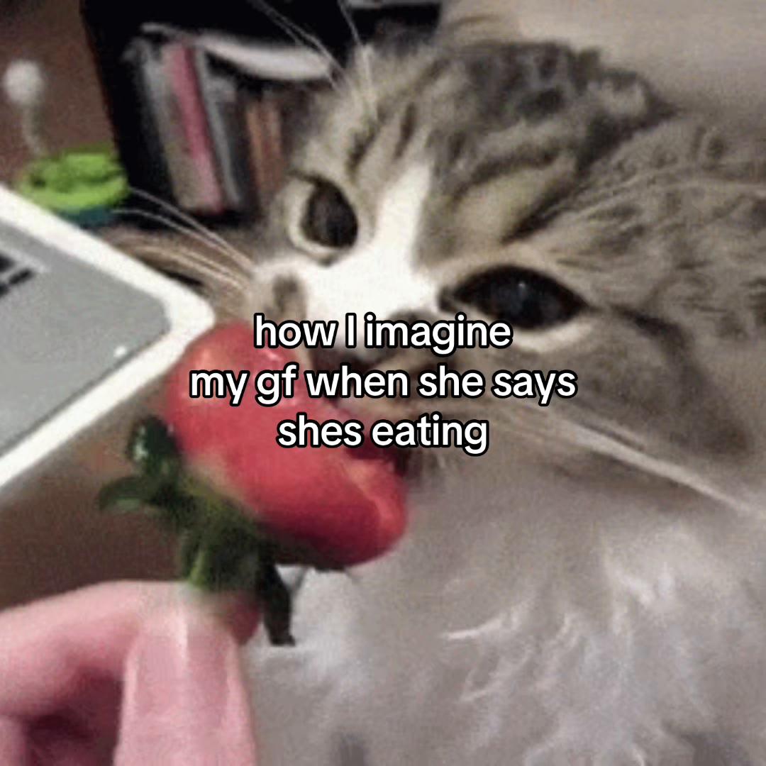 @Alice.cattok