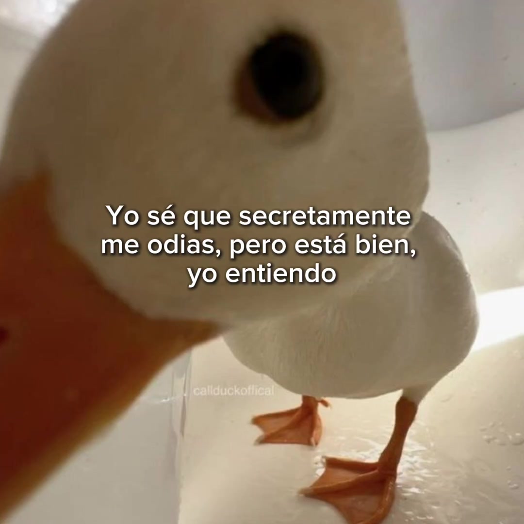 @goodvibessxd