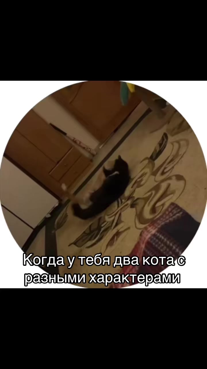 @Машковская