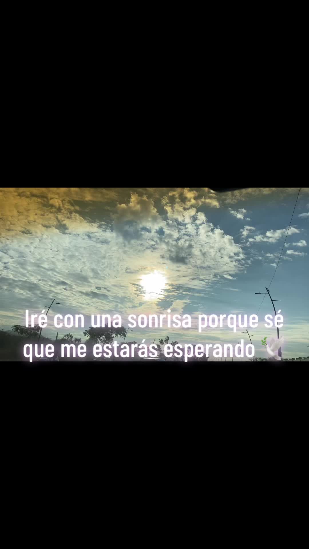 @Paloma