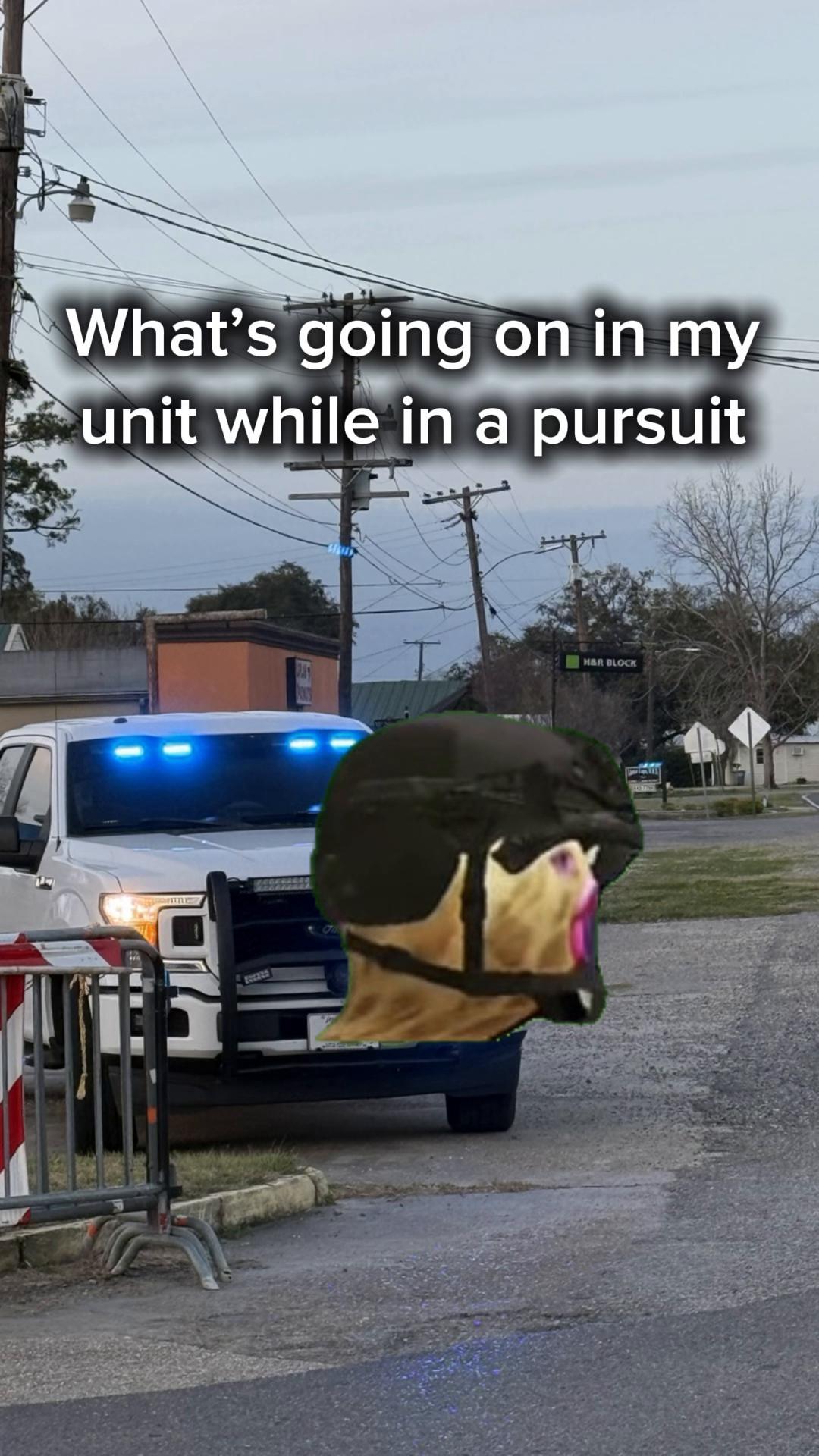 @GrumpyVetRob
