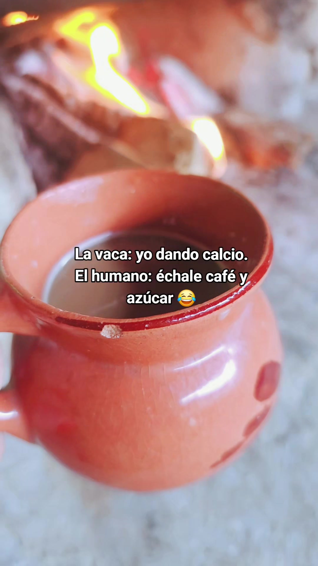 @LizSosa