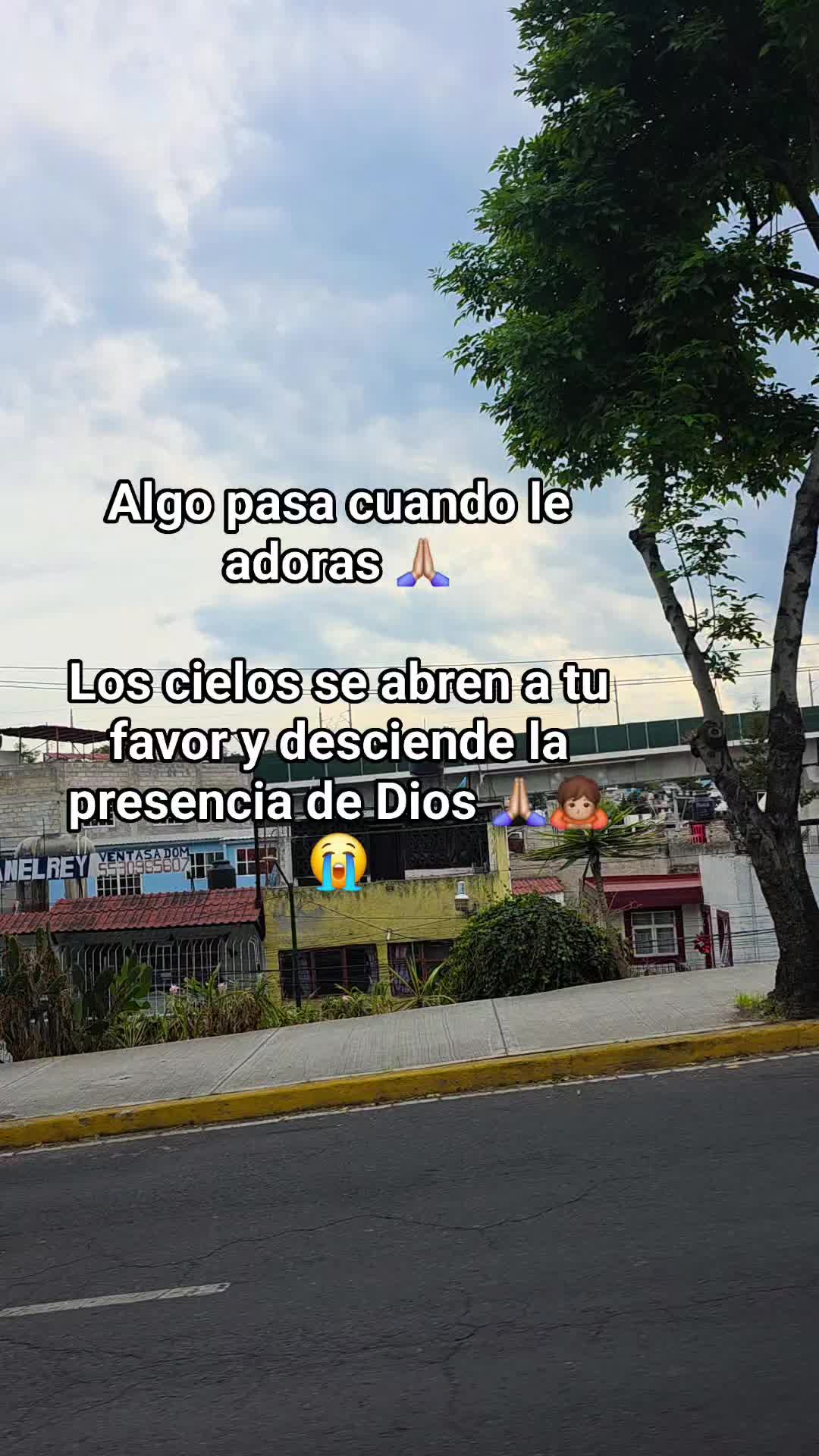 @Josefina Neri
