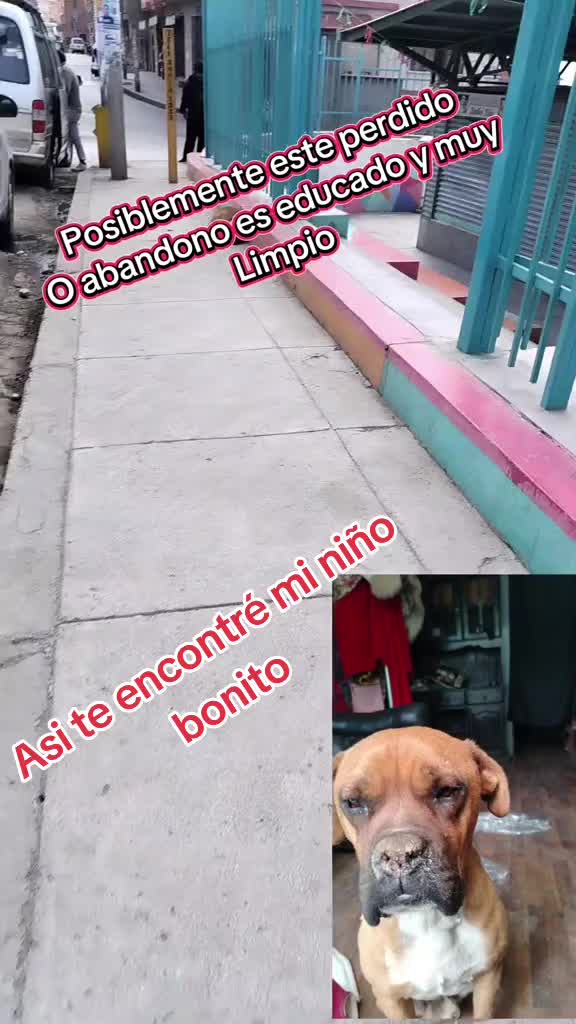 @Baneza Amparo Teran Quisbert