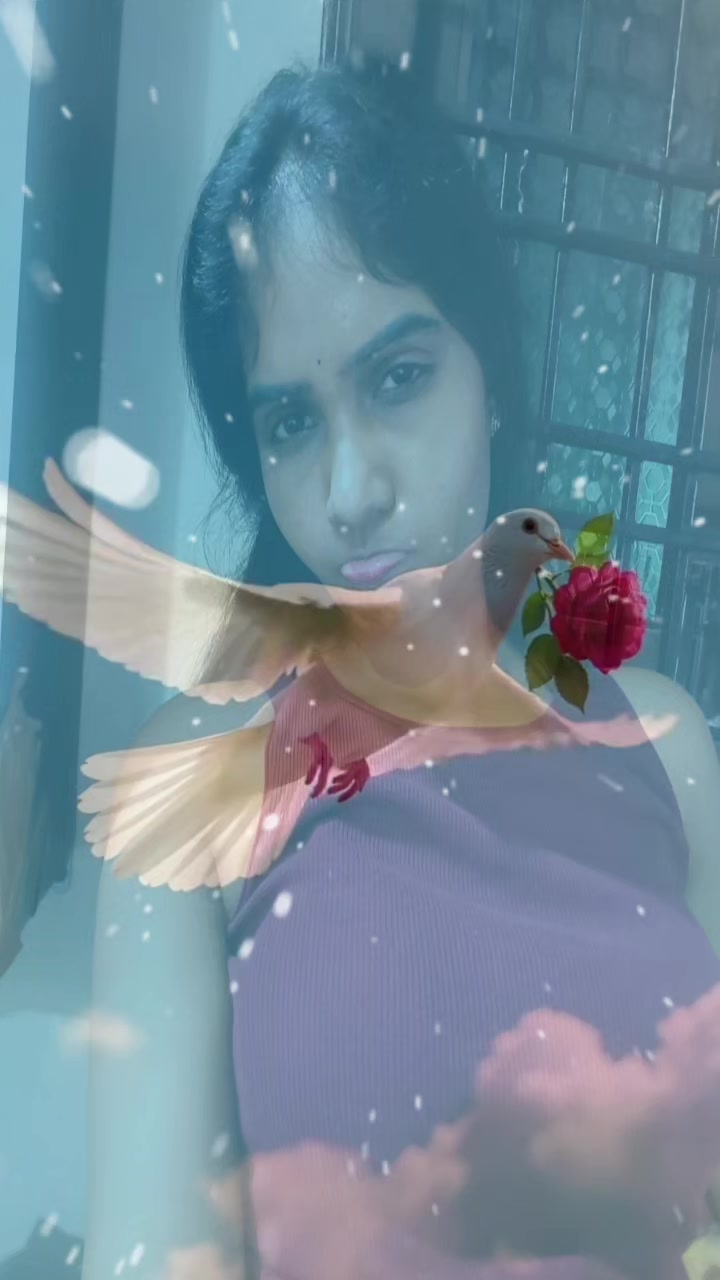 @జి శ్రీనివాసరావు పాలకొల్లు