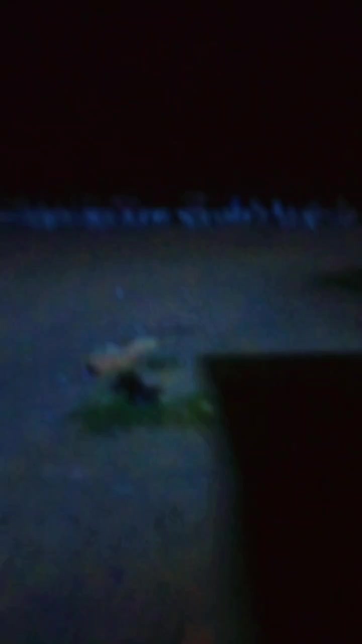@Le Dj ๐ซถ๐ป๐ซ