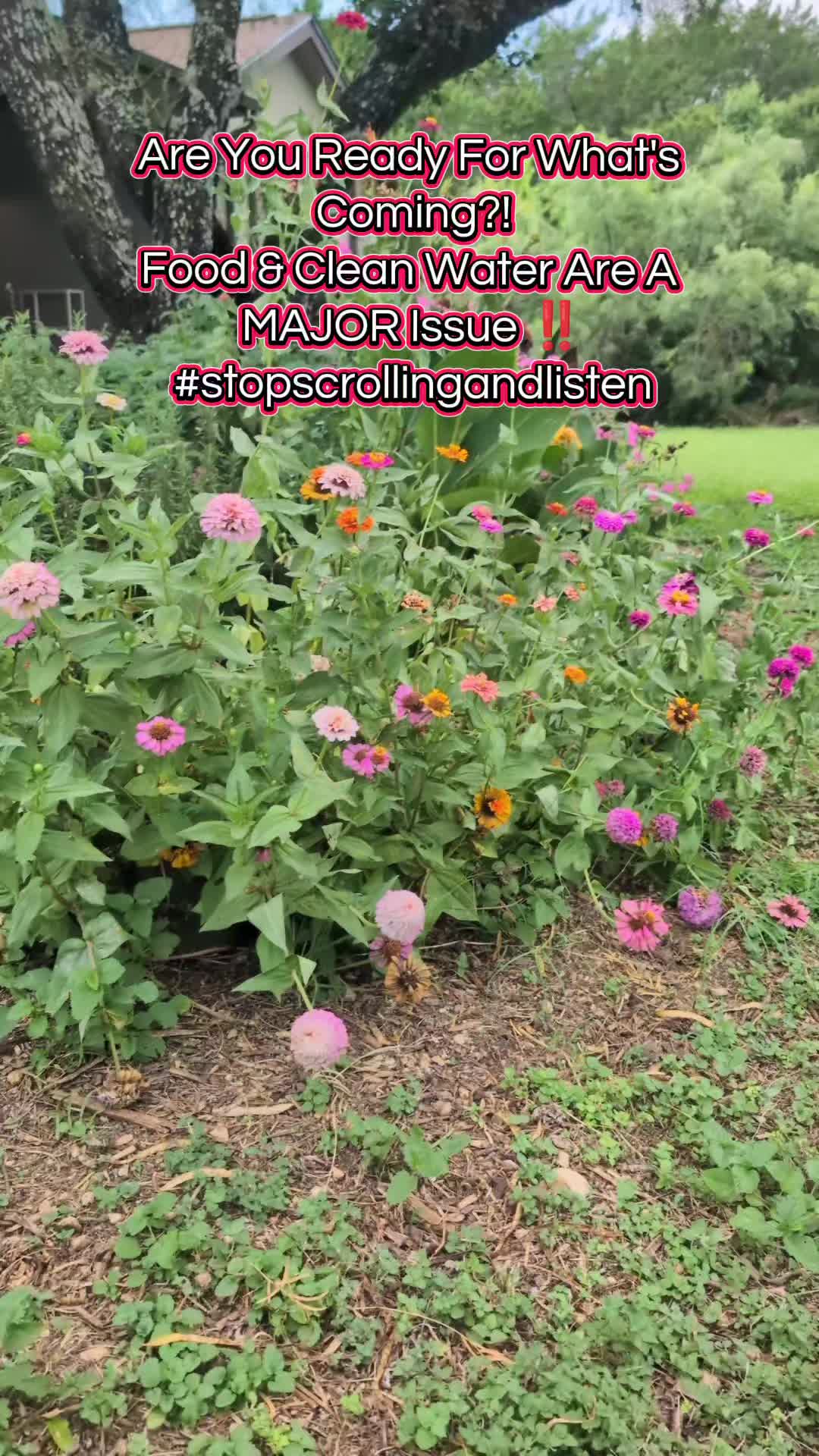 @4Js Botanicals Nursery & Farm