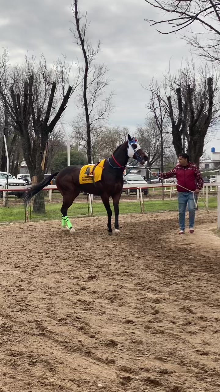 @Sofii Brito🏇🏽