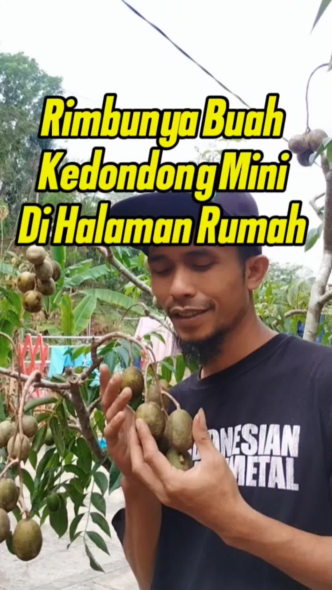@Bukit Farming