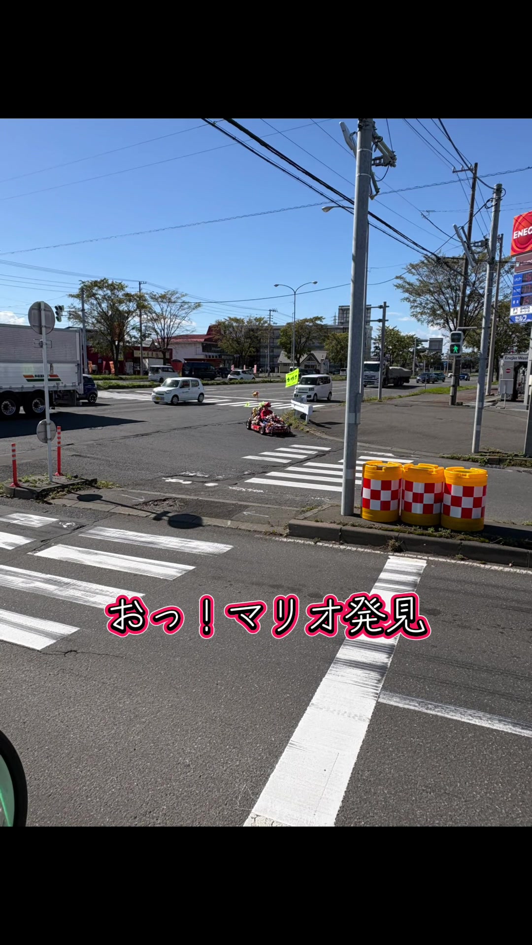 @🌸北のカリスマ桜丸🌸