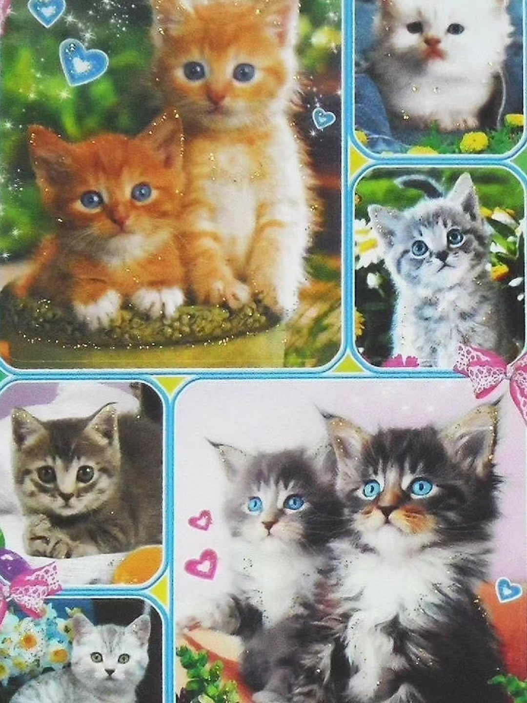 @꒰⑅꒱˖♡ᴛᴡᴏʀɪsʜᴋᴀ♡˖꒰⑅꒱