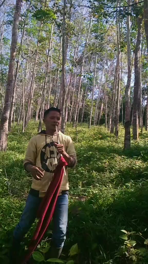 @Arif B1450ajo