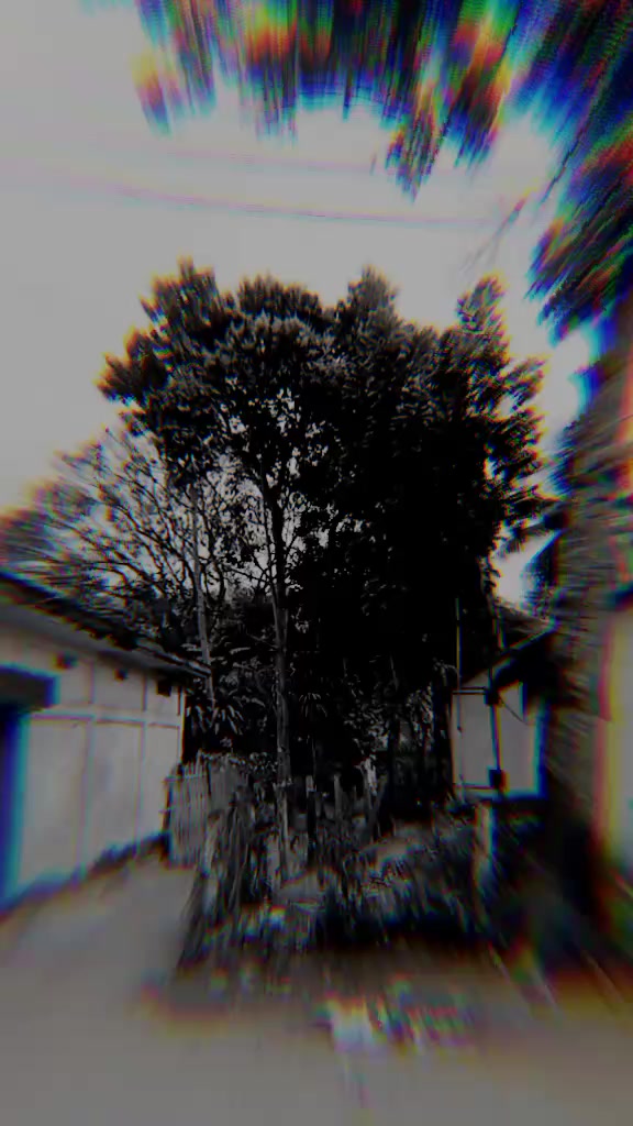 @❍⌇─➭রাধা প্রেমিক ๑ ˚ ͙۪۪̥◌