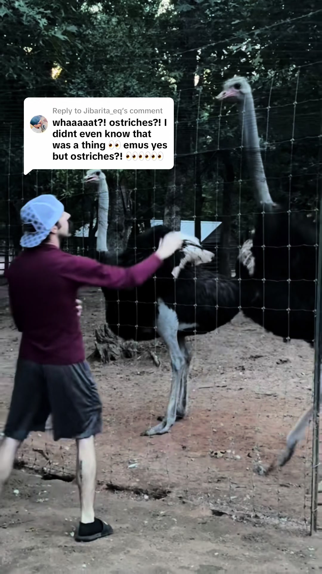 @Billy The Bad Ass Horse