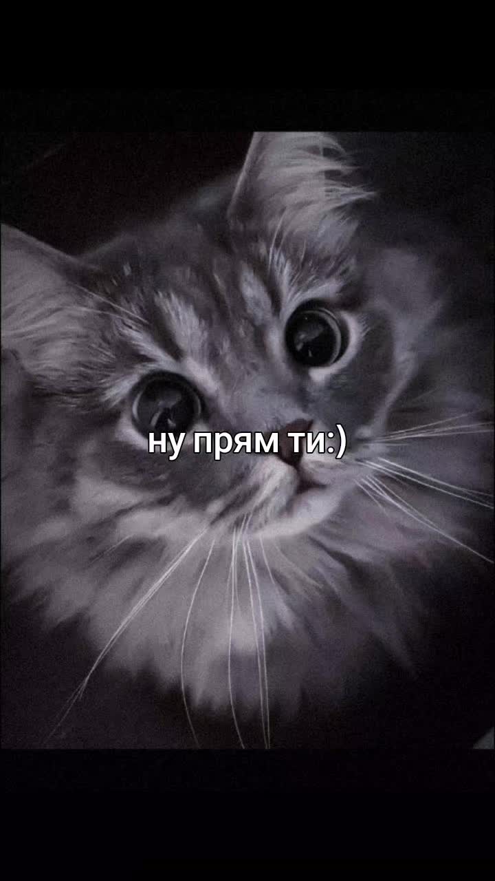 @милкааа🍫