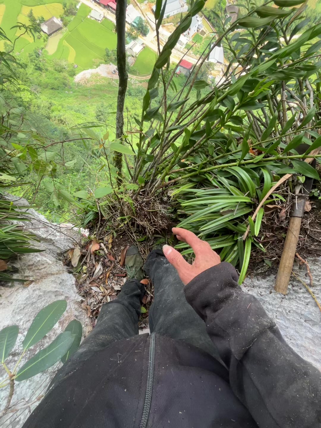@L&Iacute;U  🇻🇳☣️