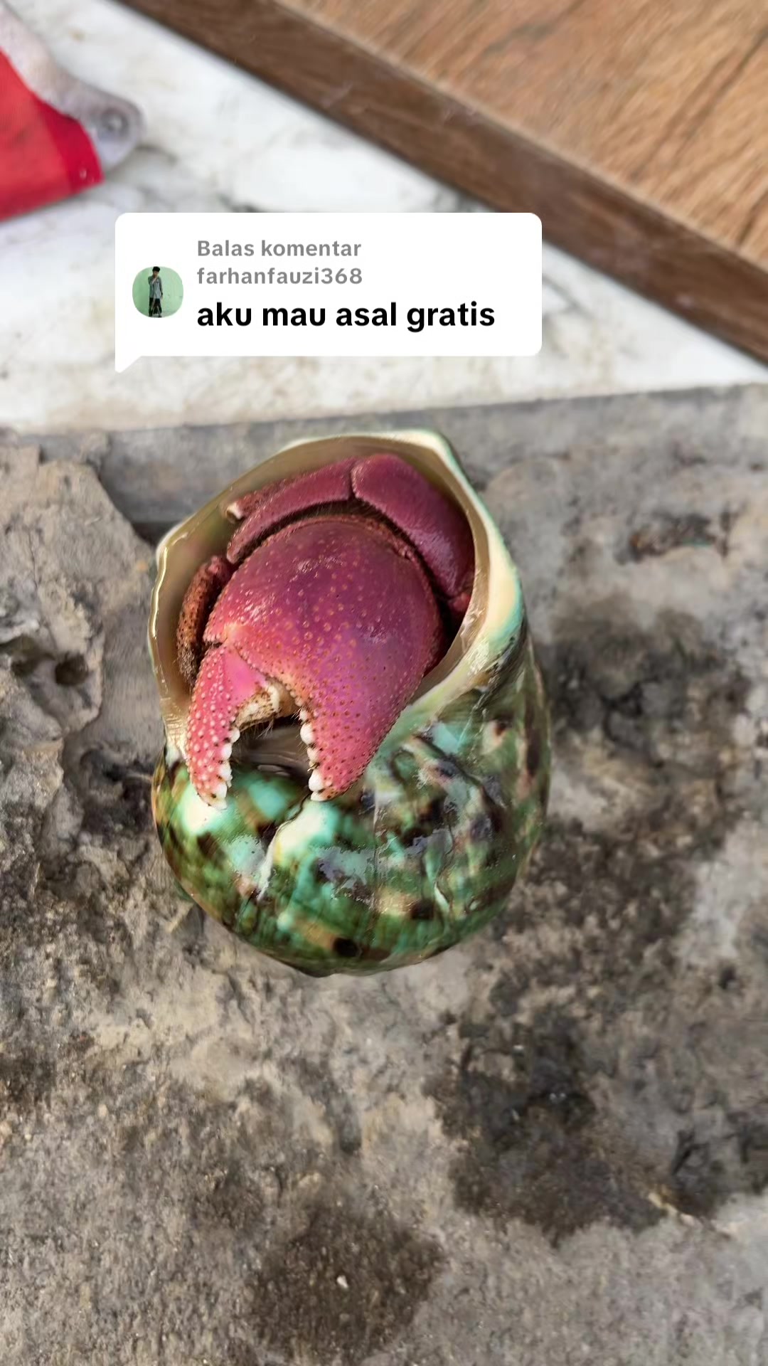 @Kudojiraiya