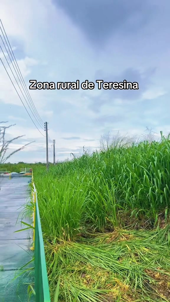 @soldeteresina
