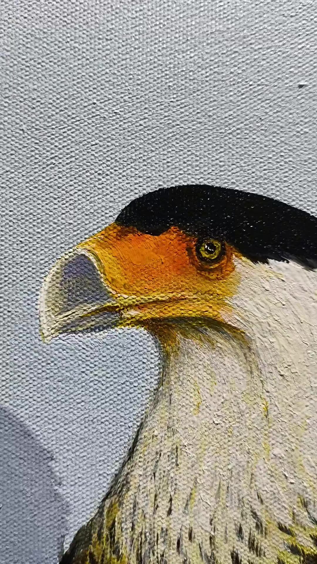 @gerlanio_maia_artes