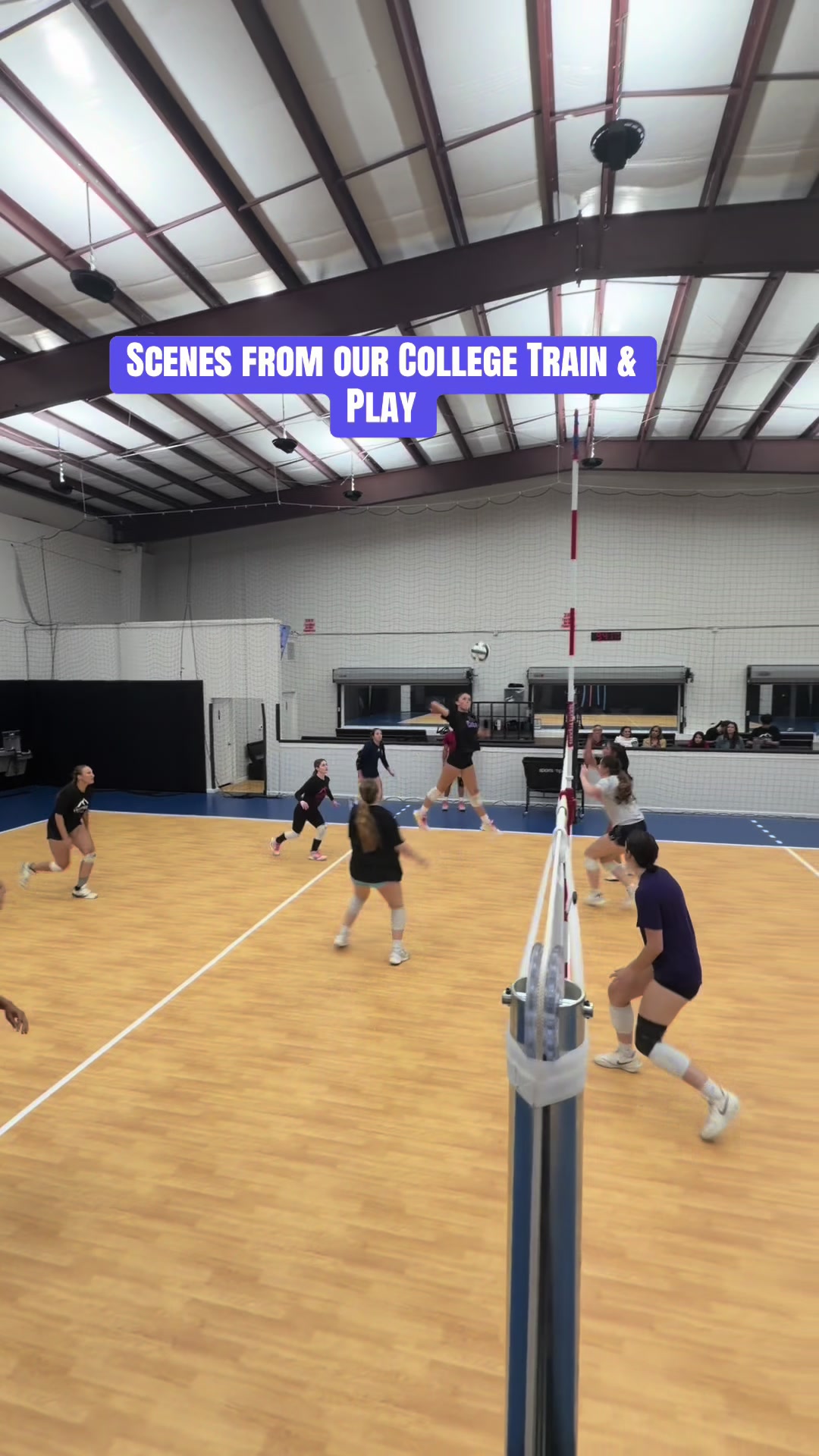 @volleyworld.org