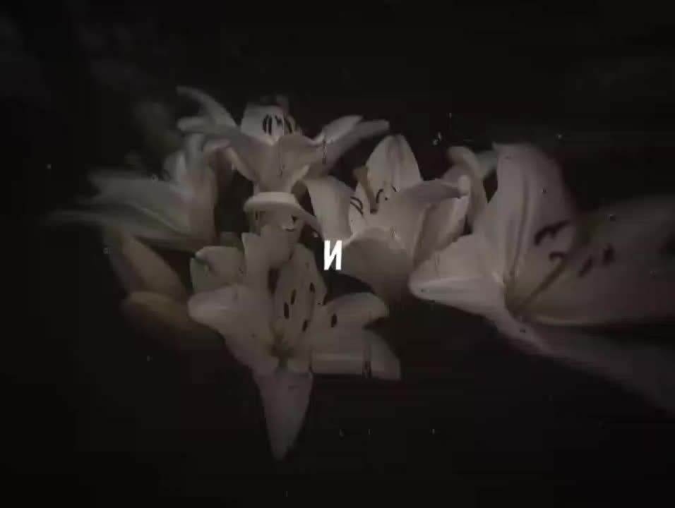 @𝙵𝚕𝚊𝚖𝙸🎩