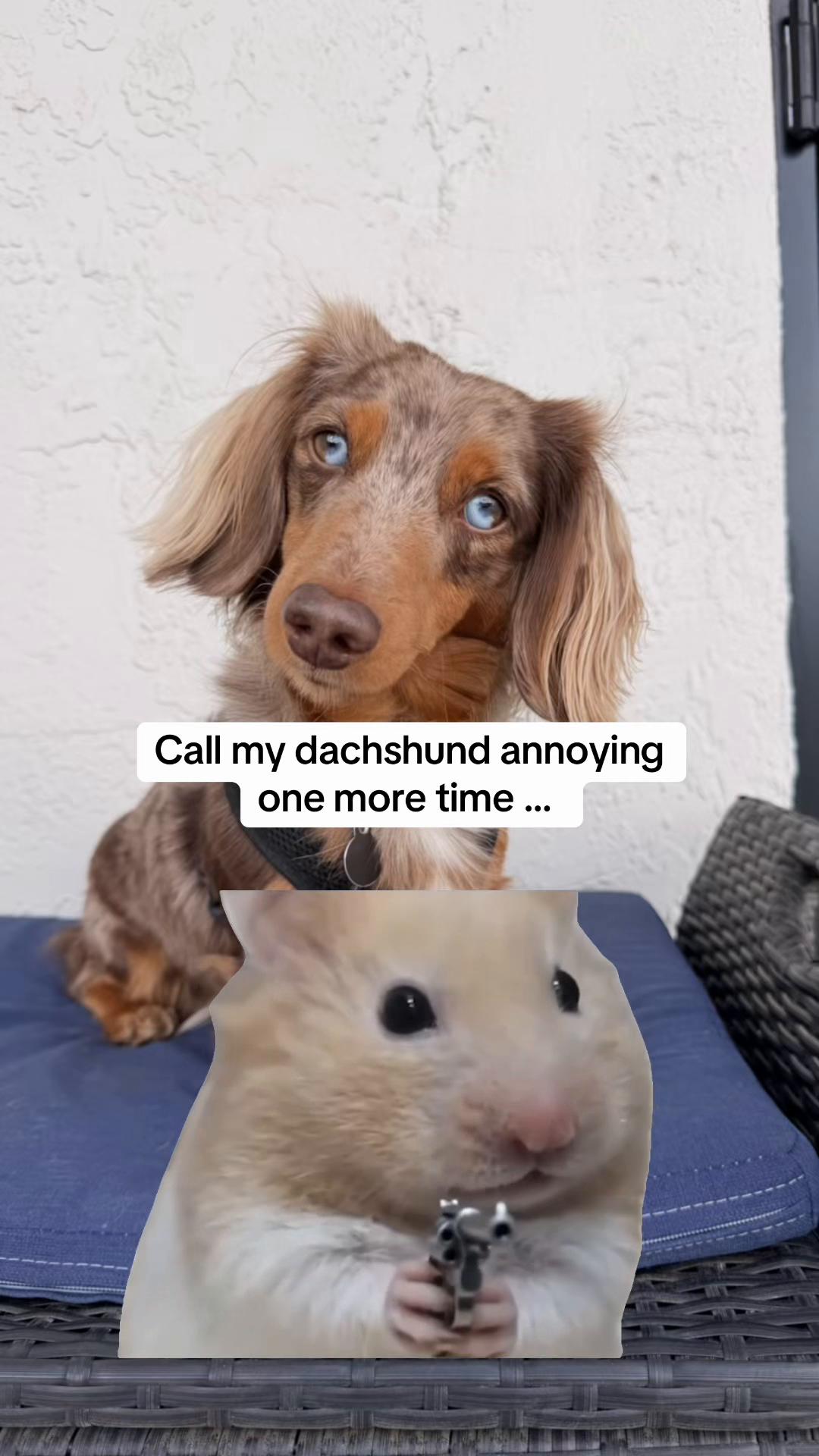 @B&auml;shi