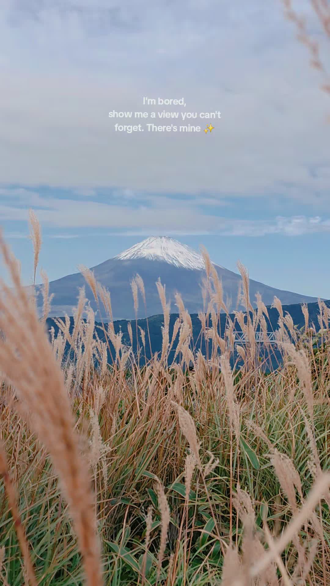 @lena is here 🛩 travel advisor