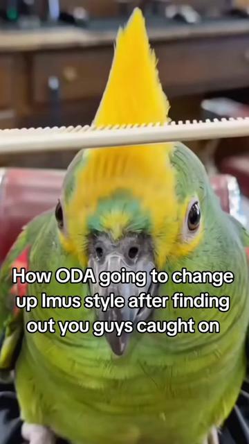 @Animemaniacs