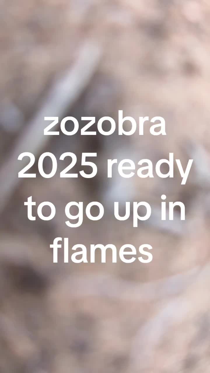 @zozobra2025