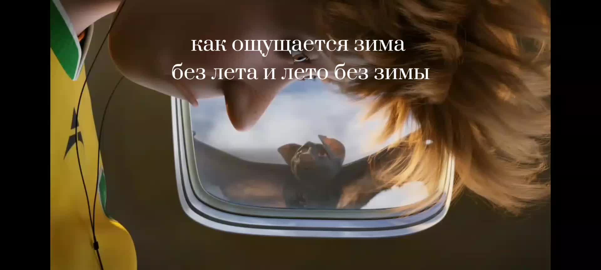 @zov с галочкой ✅ 💀💀💀