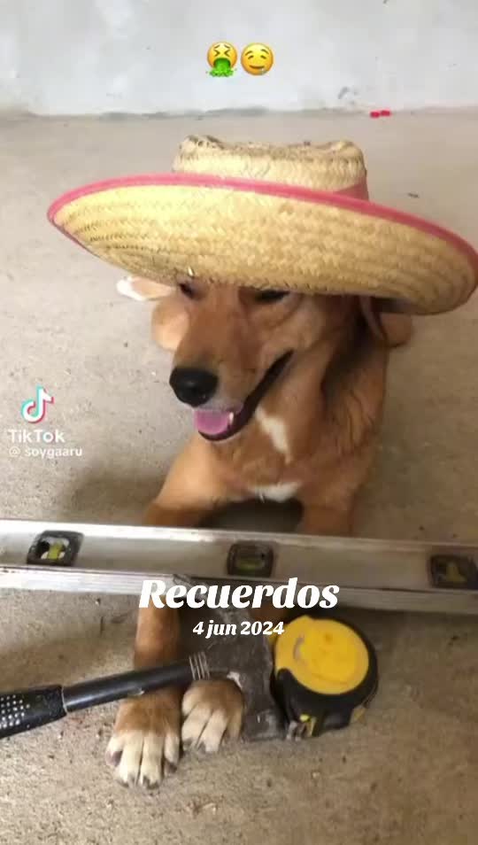 @🃏Julio Hern&aacute;ndez🃏