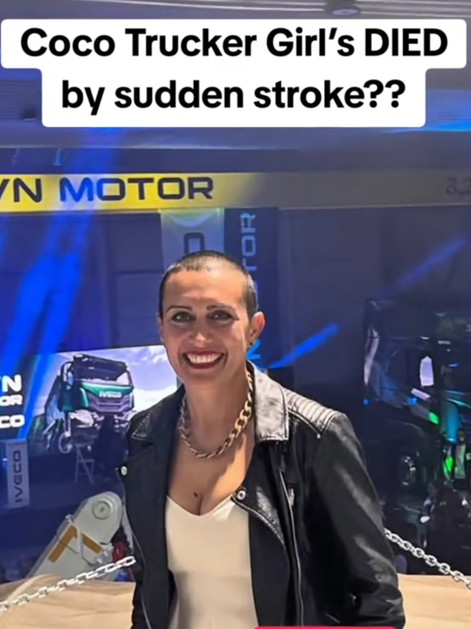 @Signal Stream News