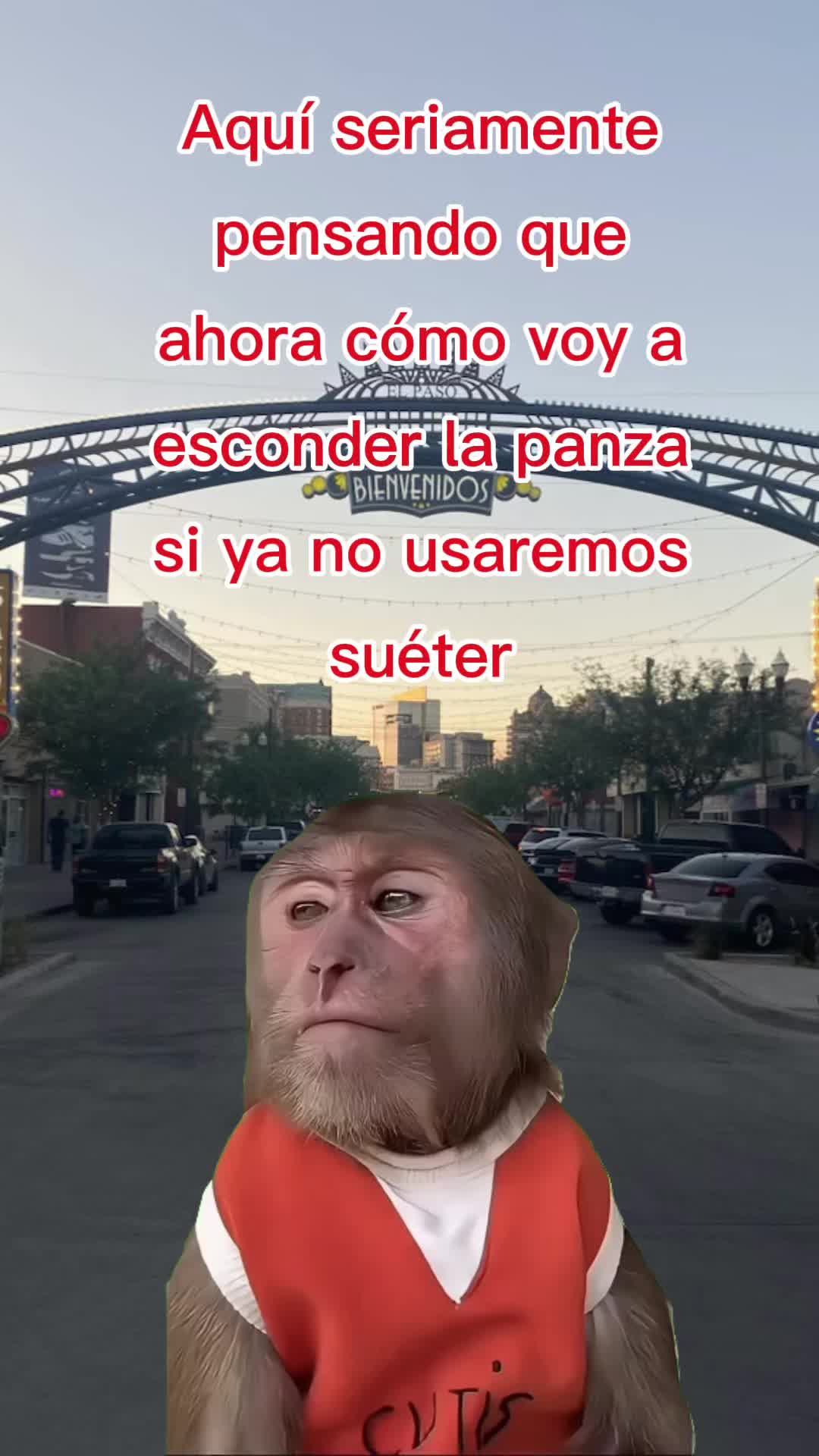 @viralmemeloop