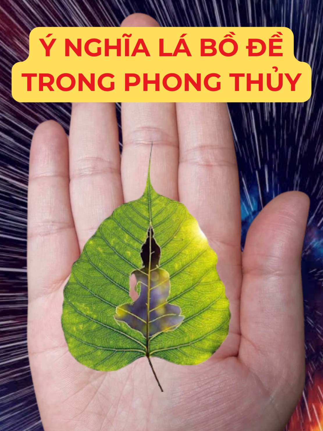 @Học Xem Chỉ Tay