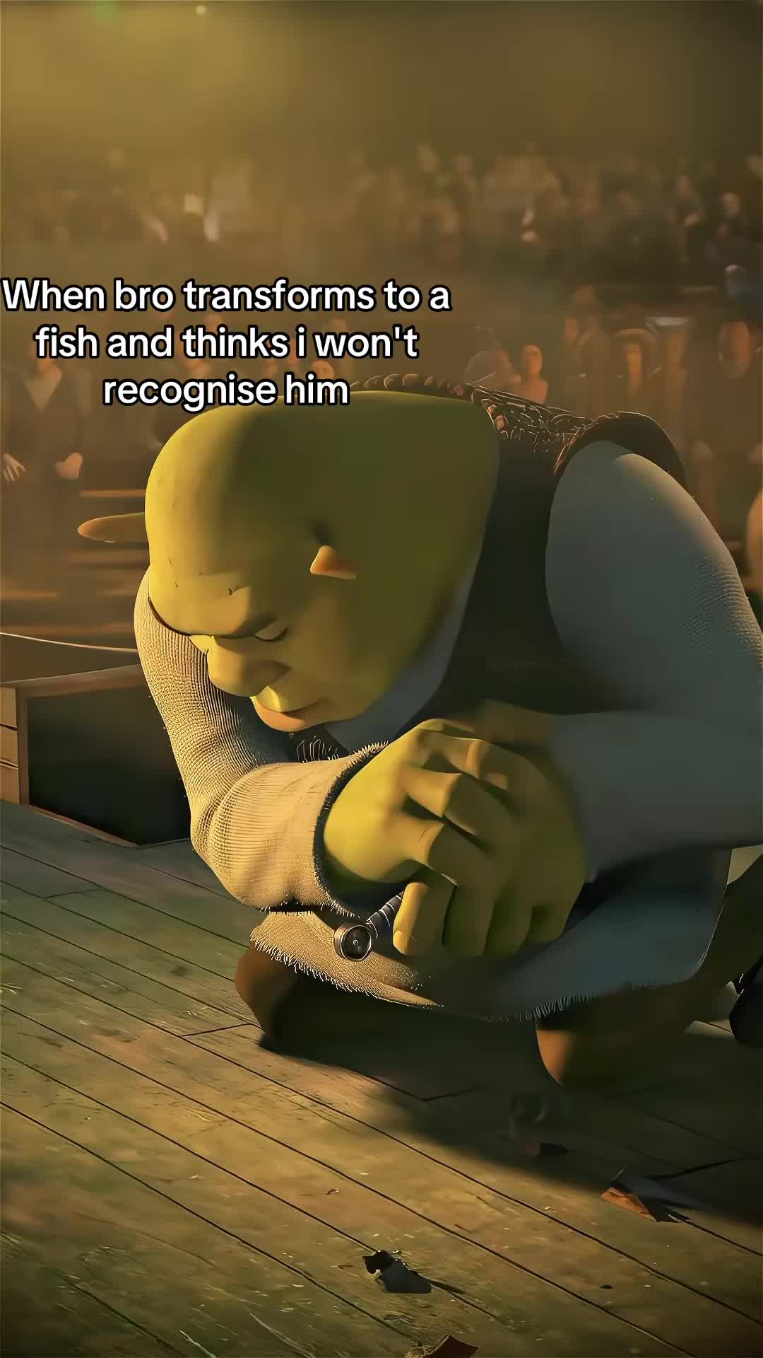 @🐍★ ★