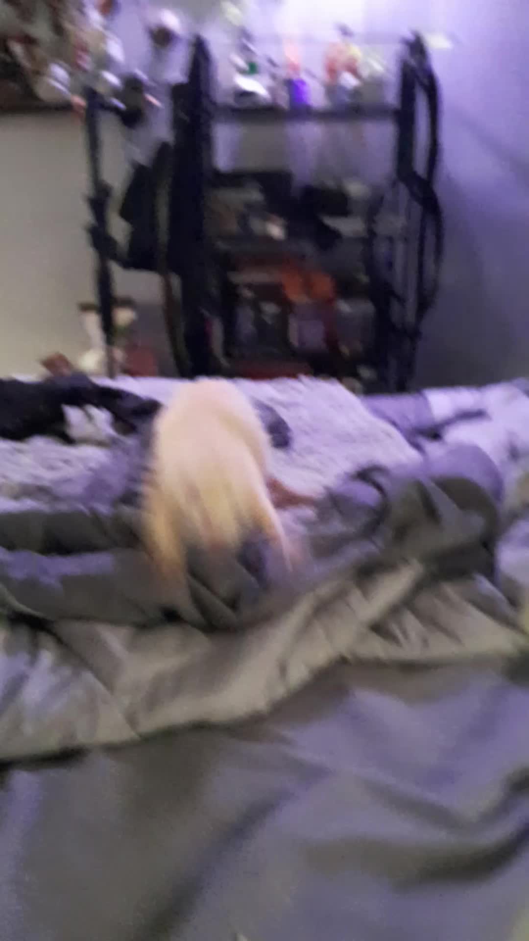 @Ďřɛªđĥɛªđ⁴²⁰