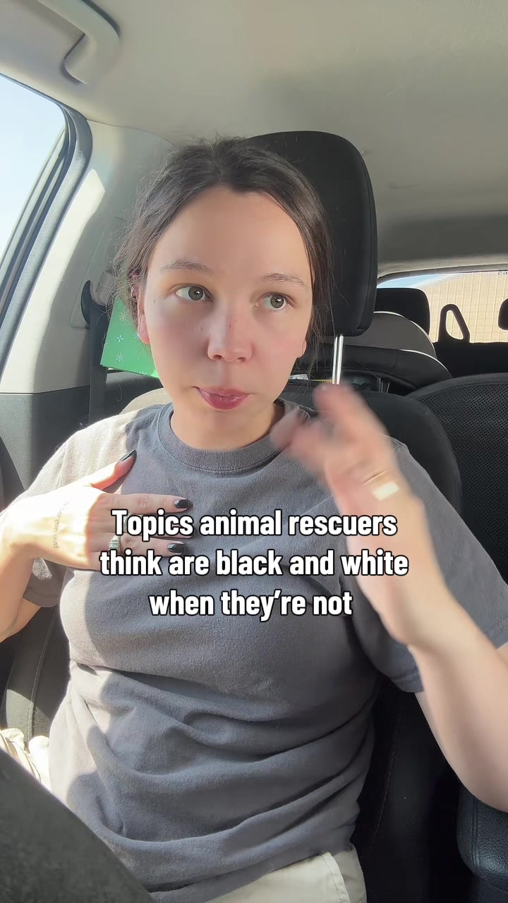 @Kayleigh + Dogs
