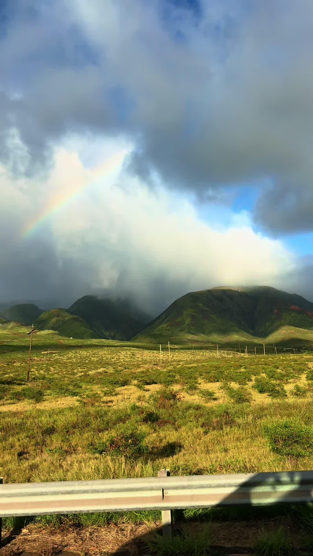 @Mauilani