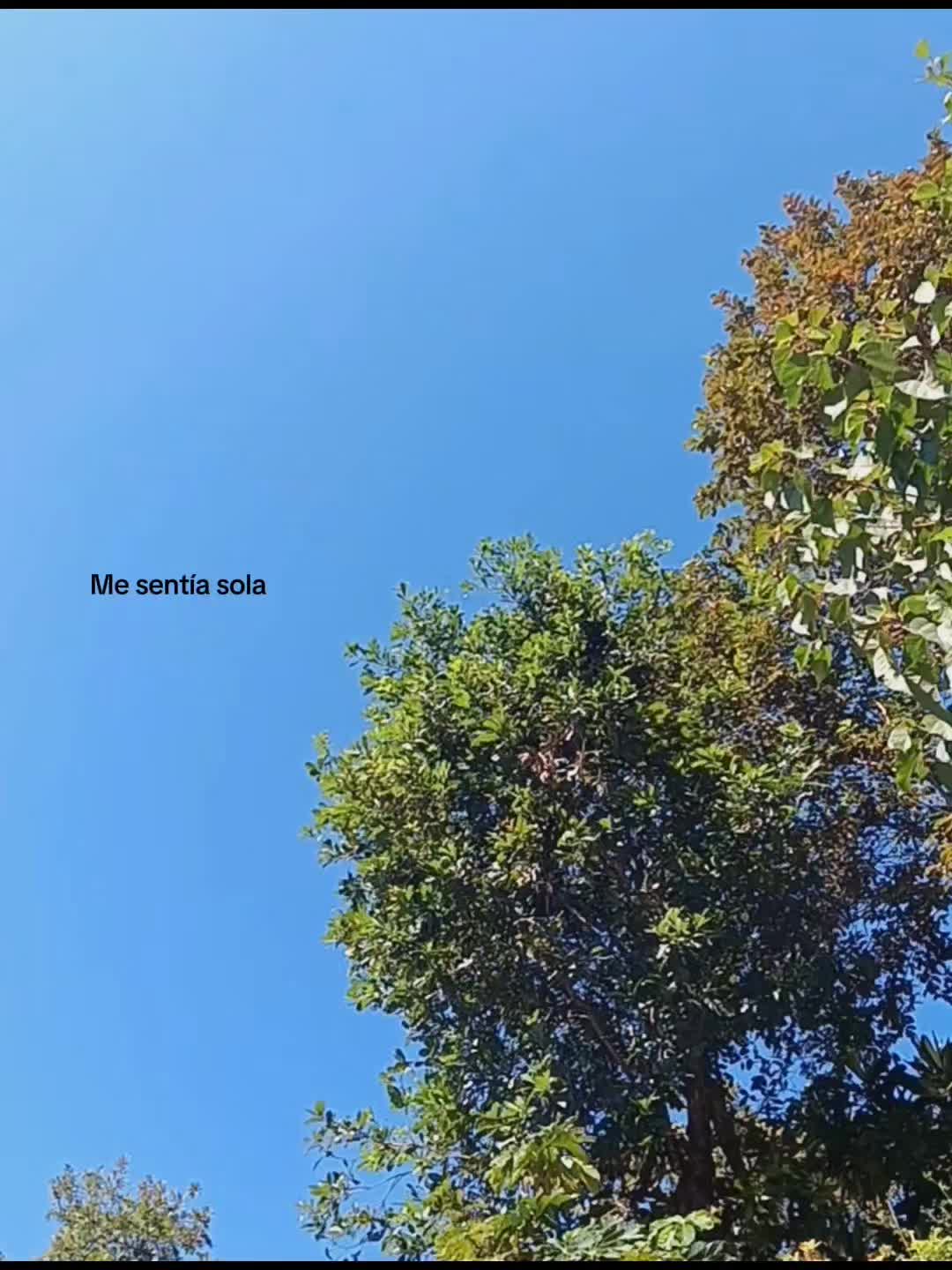 @𝓥𝓪𝓷𝓮🫶🏻🌷