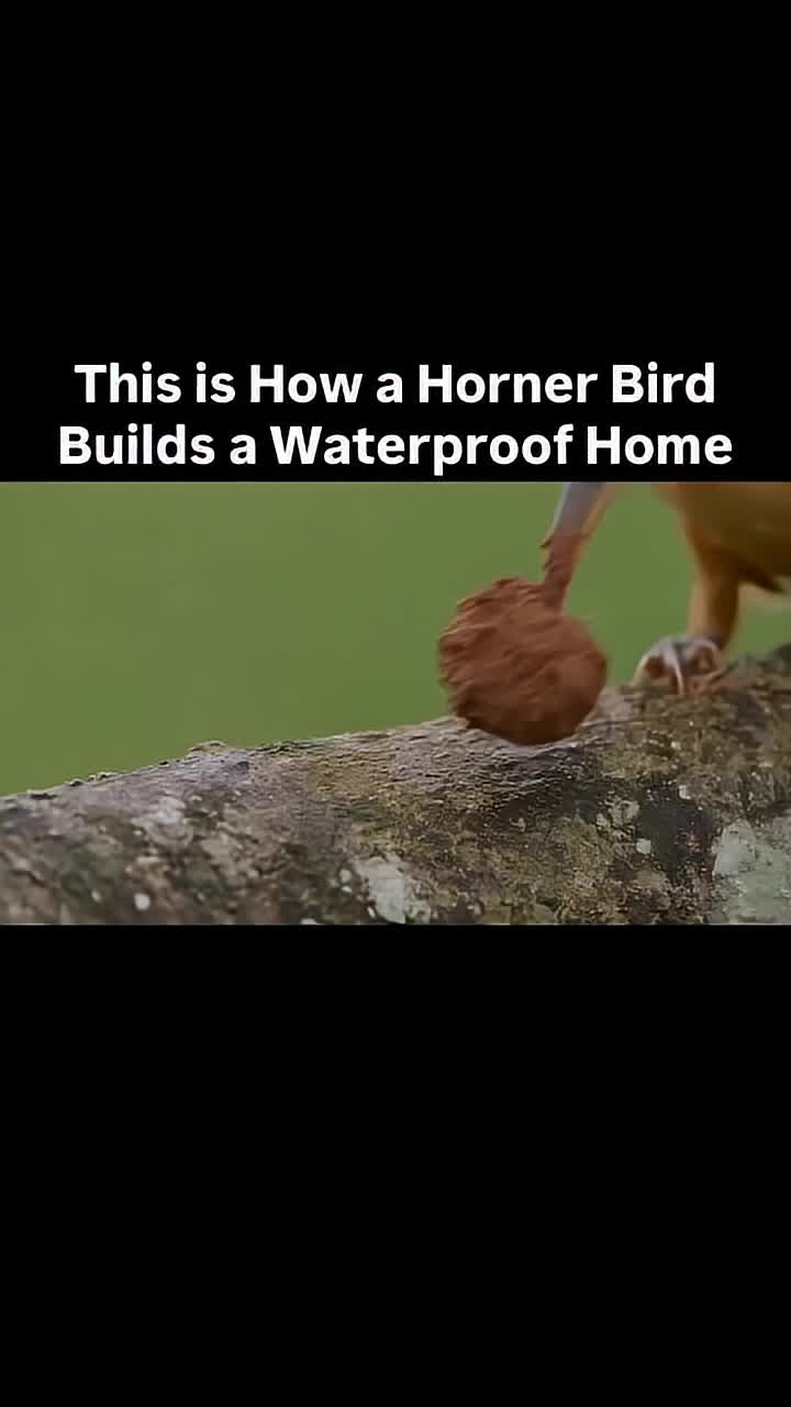 @ukfunny335
