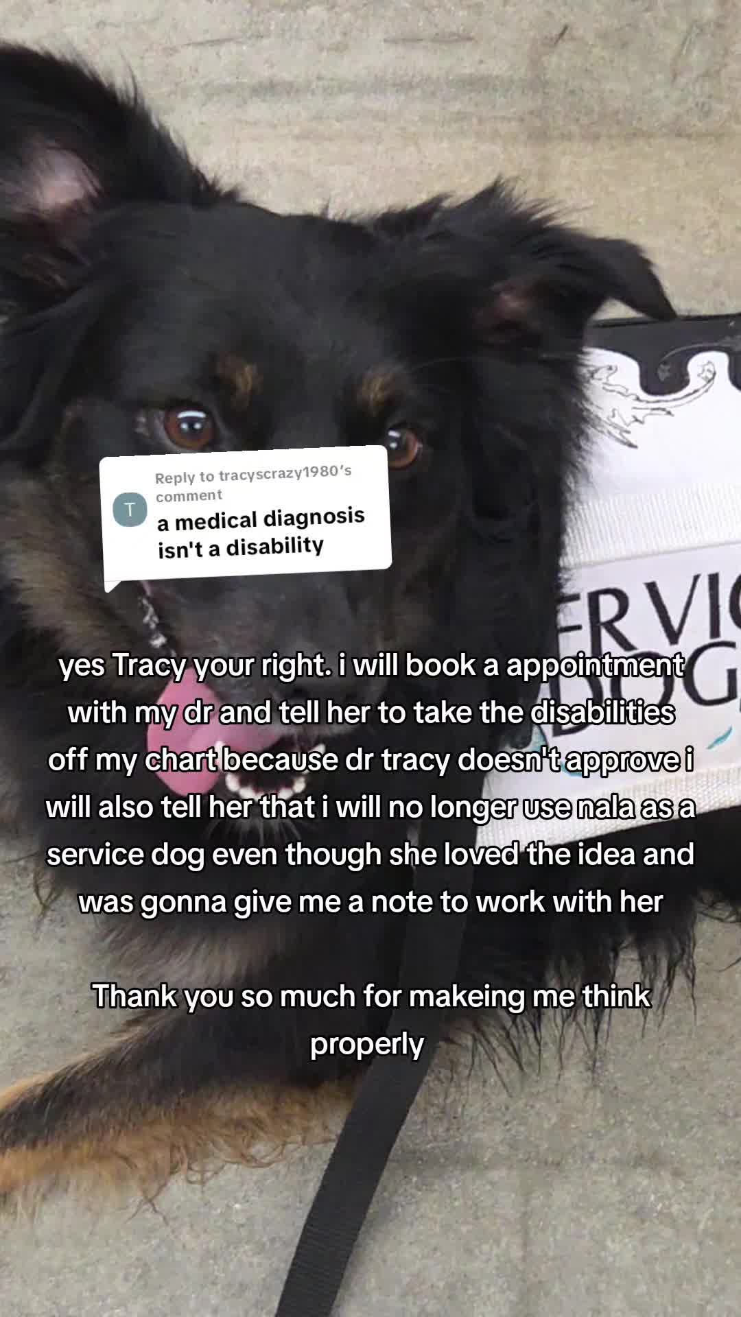 @Nala the Service aussie